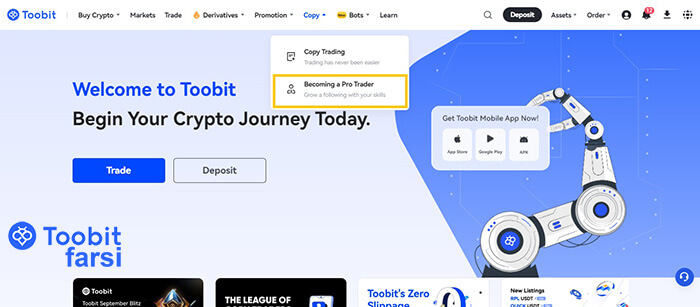 گزینه Becoming a Pro Trader