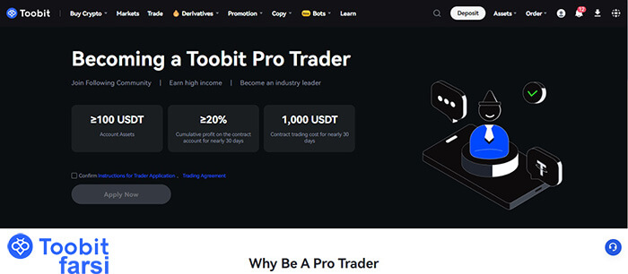 صفحه معرفی Becoming a Pro Trader