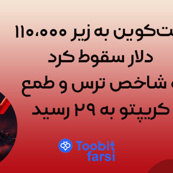 تایدتالیدمین (1) بیتکوین به زیر ۱۱۰,۰۰۰ دلار سقوط کرد و شاخص ترس و طمع کریپتو به ۲۹ رسید